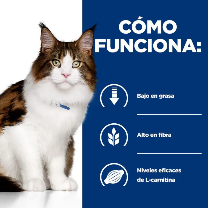 Hill's Prescription Diet Multi-Benefit Pollo pienso para gatos