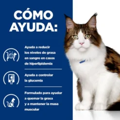 Hill's Prescription Diet Multi-Benefit Pollo pienso para gatos