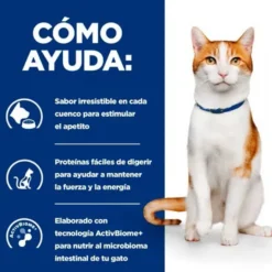 Hill's Prescription Diet ON-Care Pollo pienso para gatos