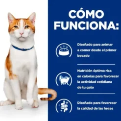 Hill's Prescription Diet ON-Care Pollo pienso para gatos