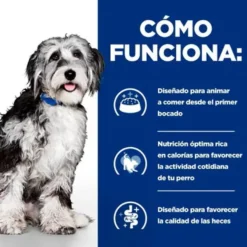 Hill's Prescription Diet ON-Care Pollo pienso para perros