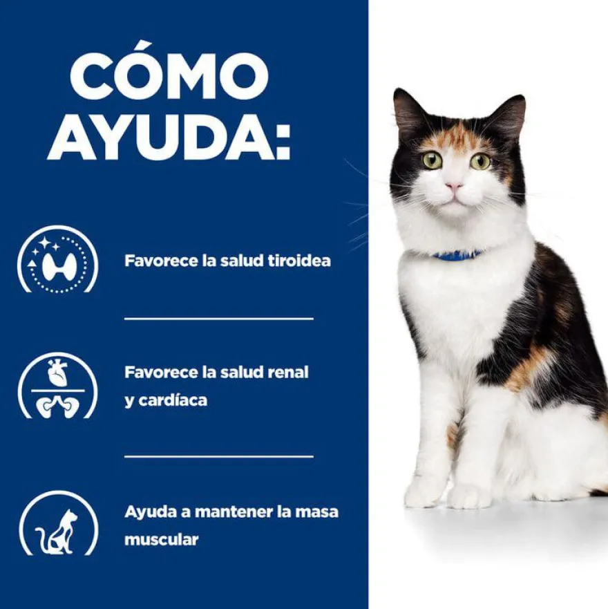 Hill's Prescription Diet Thyroid Care y/d pienso para gatos