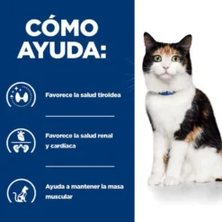 Hill's Prescription Diet Thyroid Care y/d pienso para gatos