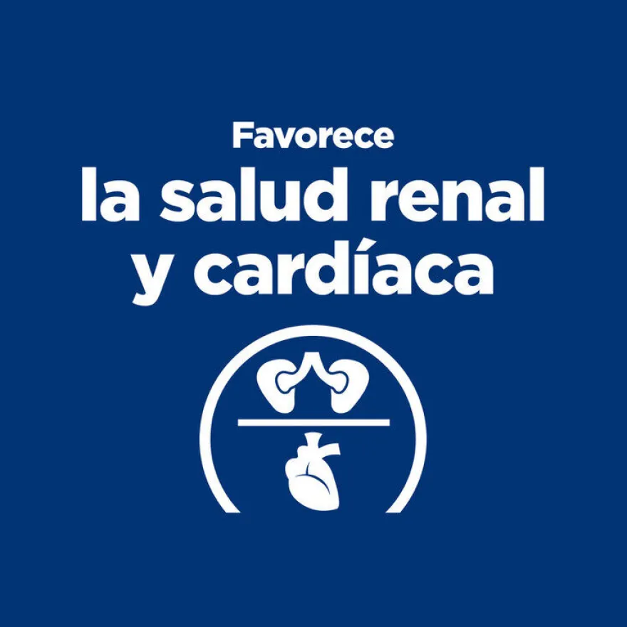 Hill's Prescription Diet Thyroid Care y/d pienso para gatos