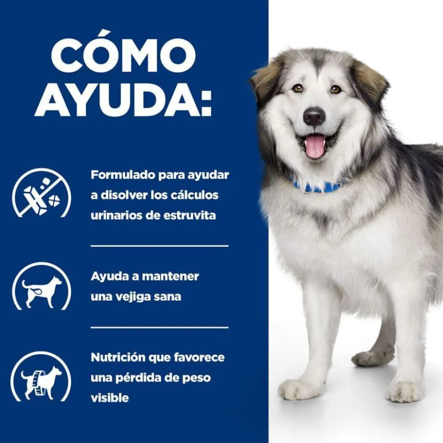 Hill's Prescription Diet Urinary + Metabolic c/d pienso para perros