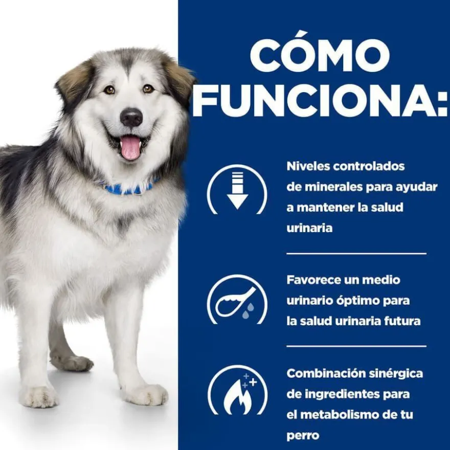Hill's Prescription Diet Urinary + Metabolic c/d pienso para perros