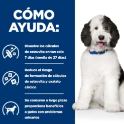 Hill's Prescription Diet Urinary Care c/d Pollo pienso para perros