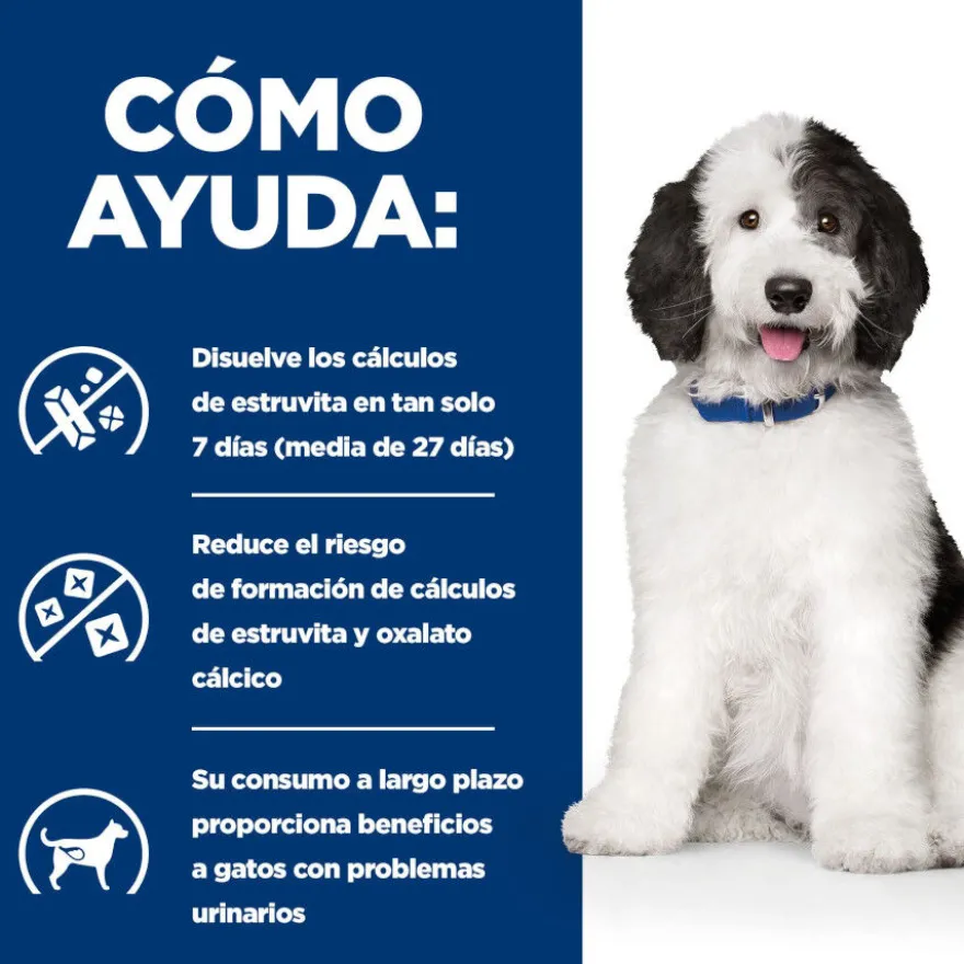 Hill's Prescription Diet Urinary Care c/d Pollo pienso para perros