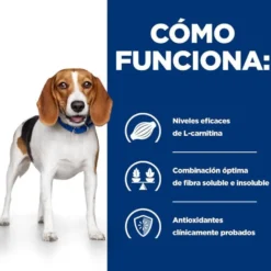 Hill's Prescription Diet Weight Loss r/d Pollo pienso para perros