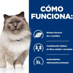 Hill's Prescription Diet Weight Loss Pollo pienso r/d para gatos