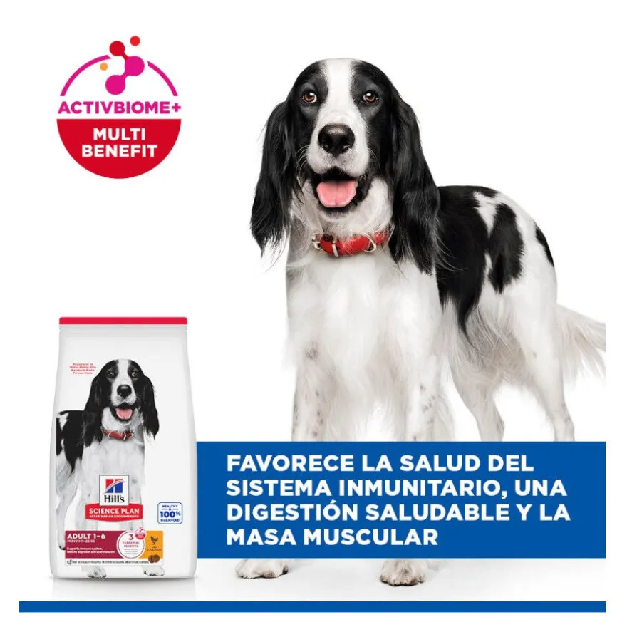 Hill's Science Plan Adult Medium Pienso Pollo para perros de razas medianas