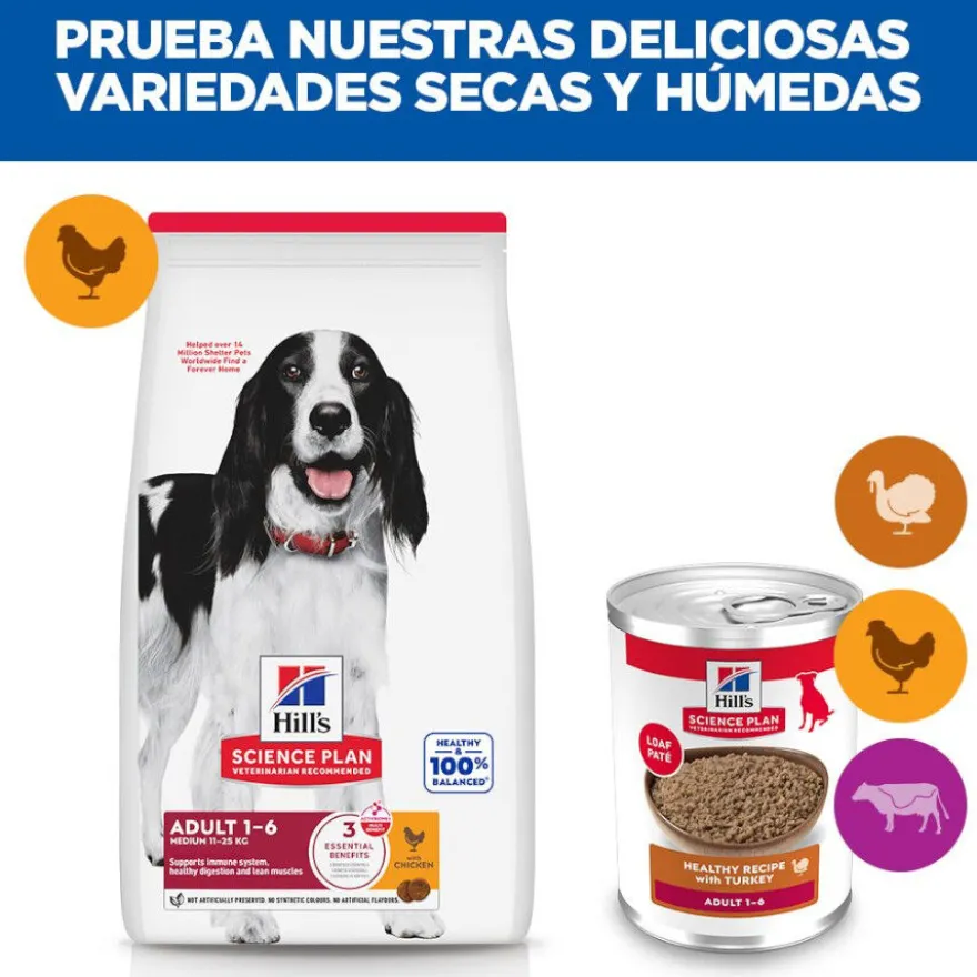Hill's Science Plan Adult pavo lata para perros