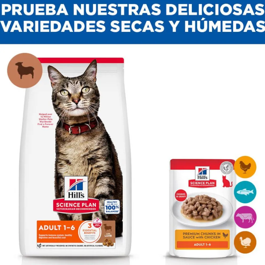 Hill's Science Plan Adult Pienso cordero y arroz para gatos