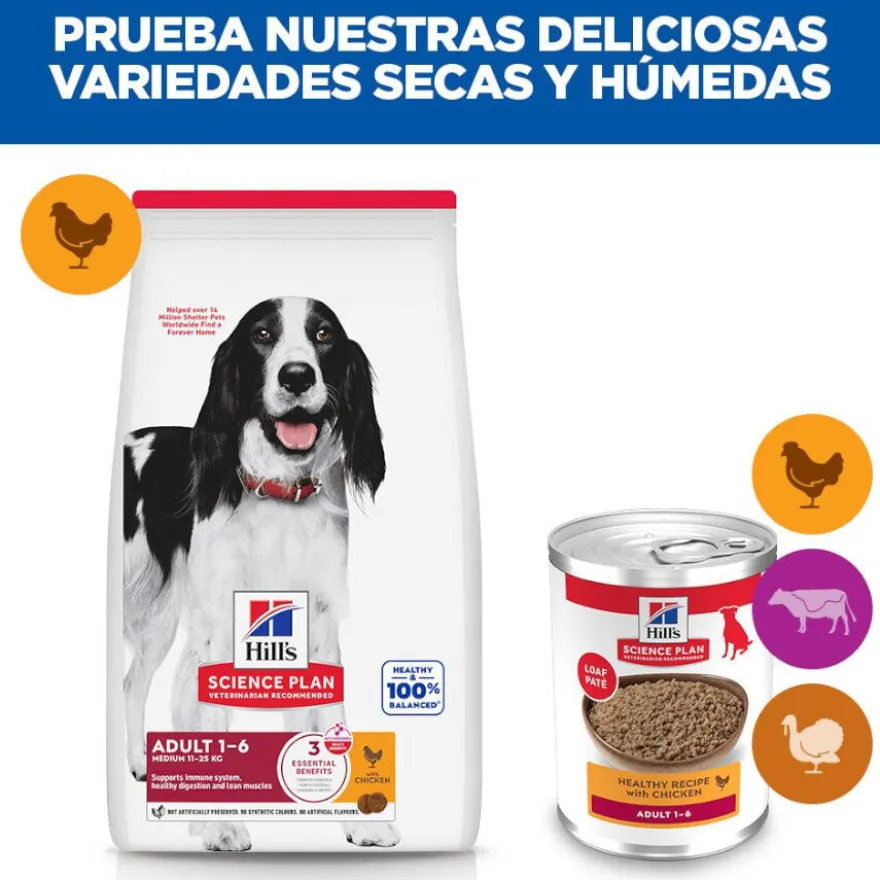 Hill's Science Plan Adult pollo lata para perros