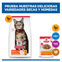 Hill's Science Plan Adult Pollo sobre para gatos