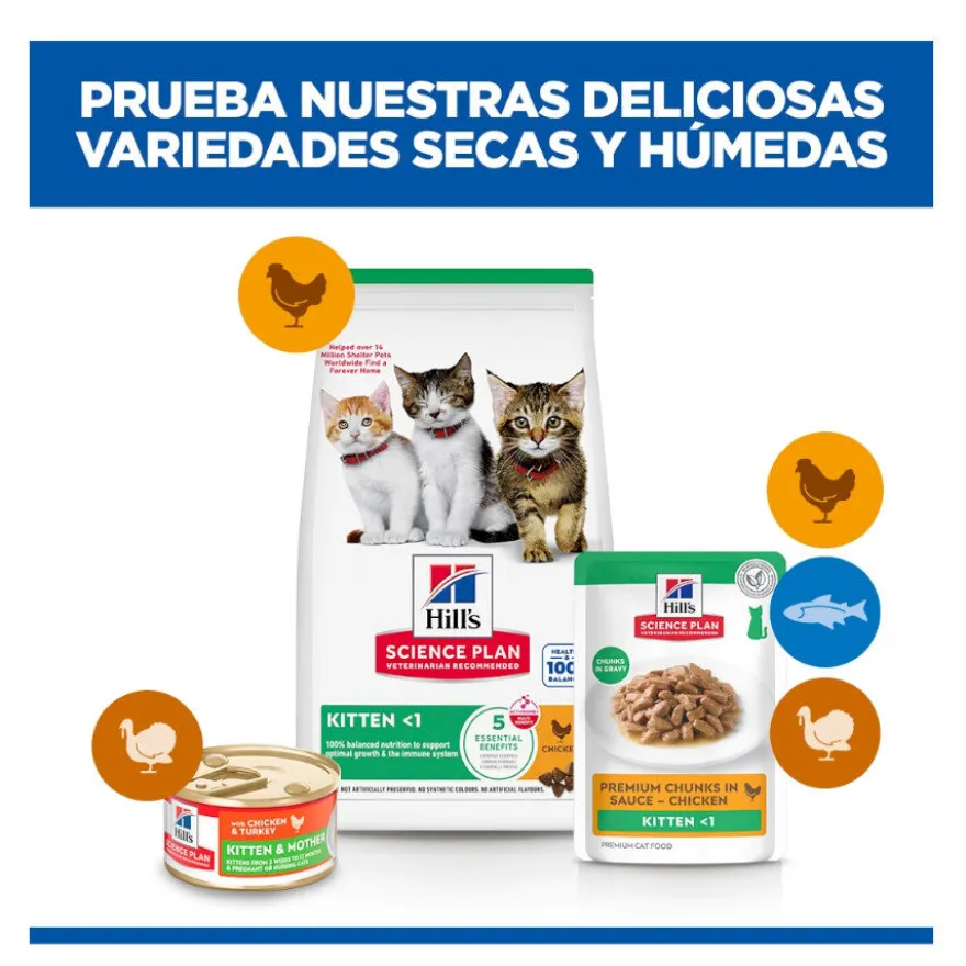 Hill's Science Plan Kitten Pollo sobre en salsa