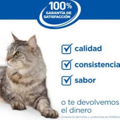 Hill's Science Plan Light pienso pollo para gatos adultos