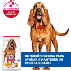 Hill's Science Plan Mature Adult Light Medium pienso pollo para perros de razas medianas