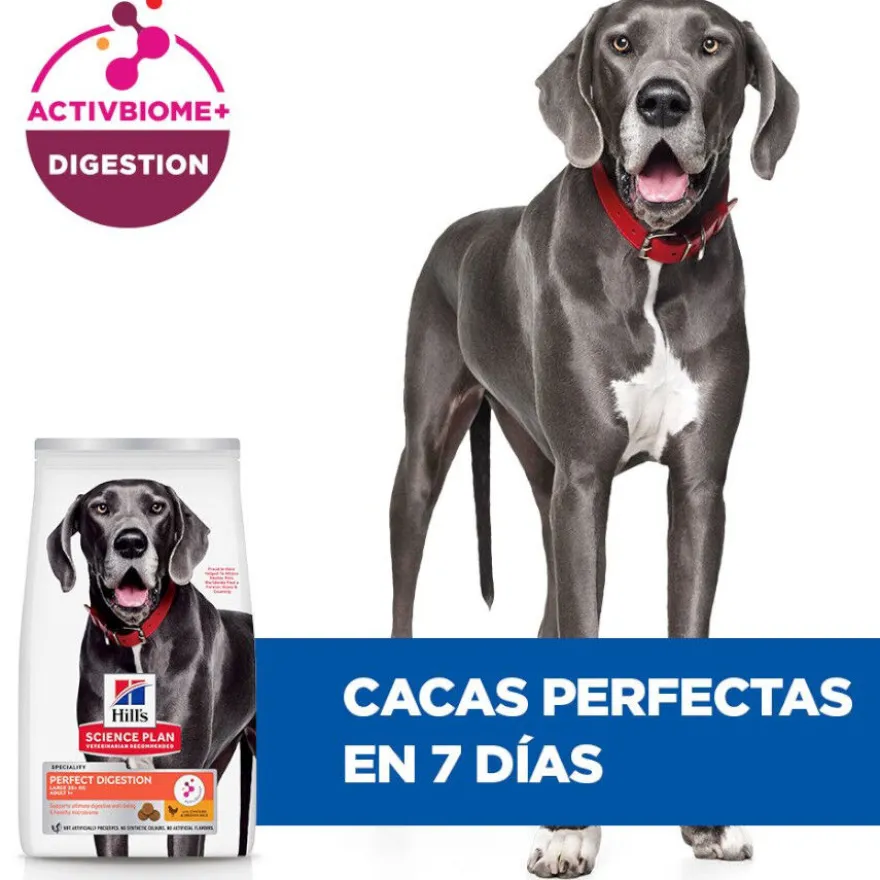 Hill's Science Plan Perfect Digestion Adult large Pollo pienso para perros