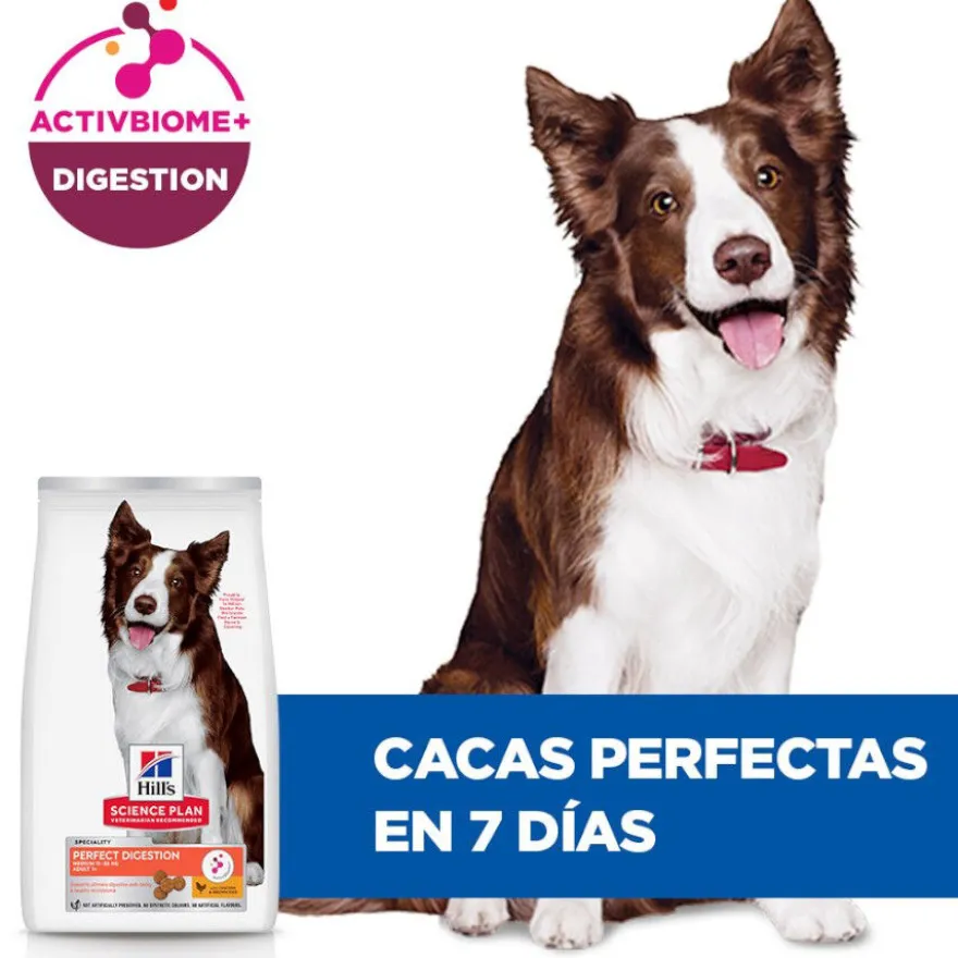 Hill's Science Plan Perfect Digestion Adult Medium Pollo pienso para perros