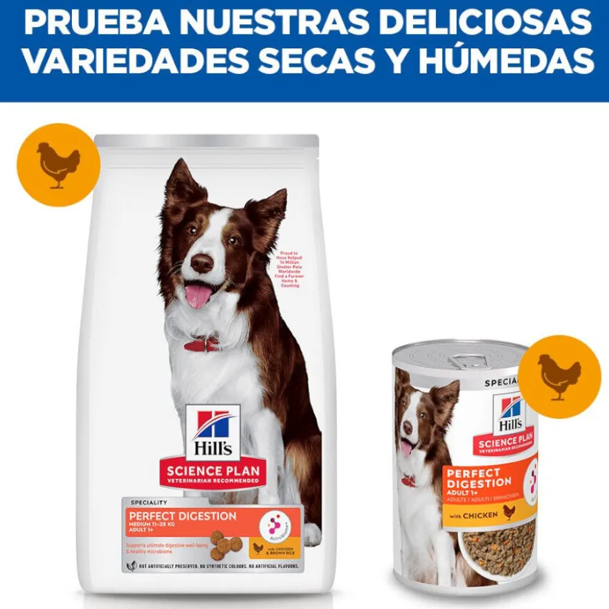 Hill's Science Plan Perfect Digestion Adult Medium Pollo pienso para perros