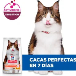 Hill's Science Plan Perfect Digestion Adult Pollo Pienso para gatos