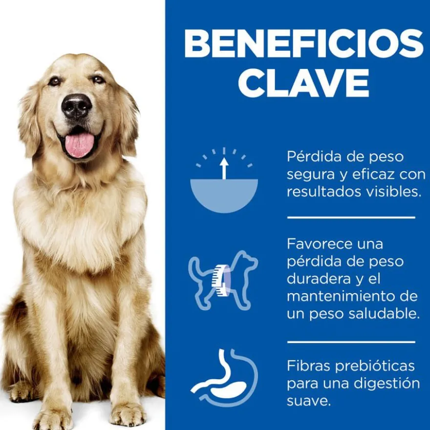 Hill's Science Plan Perfect Weight Adult Large Pollo pienso para perros