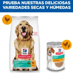 Hill's Science Plan Perfect Weight Adult Large Pollo pienso para perros