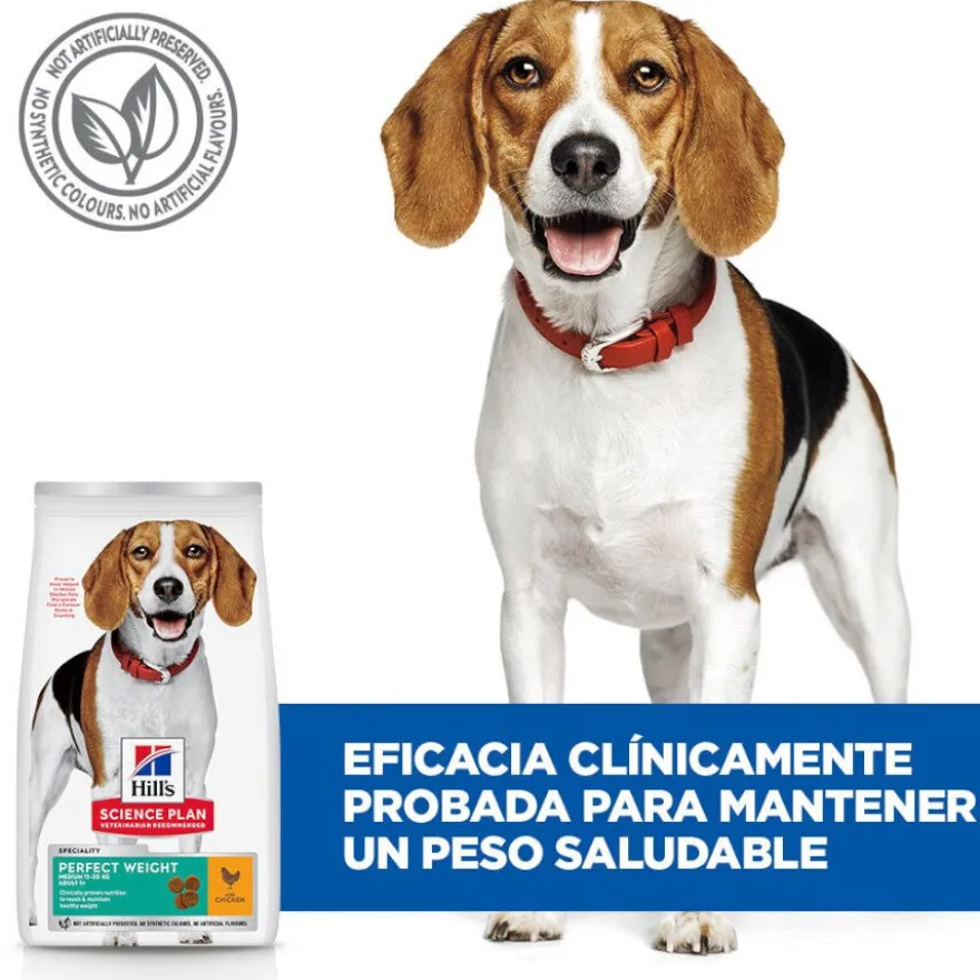 Hill's Science Plan Perfect Weight Adult Medium Pollo pienso para perros