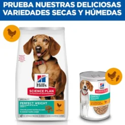 Hill's Science Plan Perfect Weight Adult Small y Mini pienso para perros