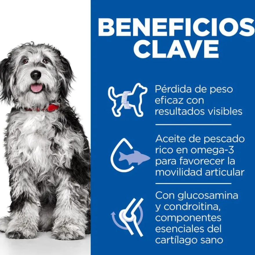 Hill's Science Plan Perfect Weight y Active Mobility pollo pienso para perros medianos