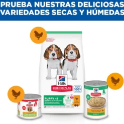 Hill's Science Plan pienso pollo para cachorros de razas medianas