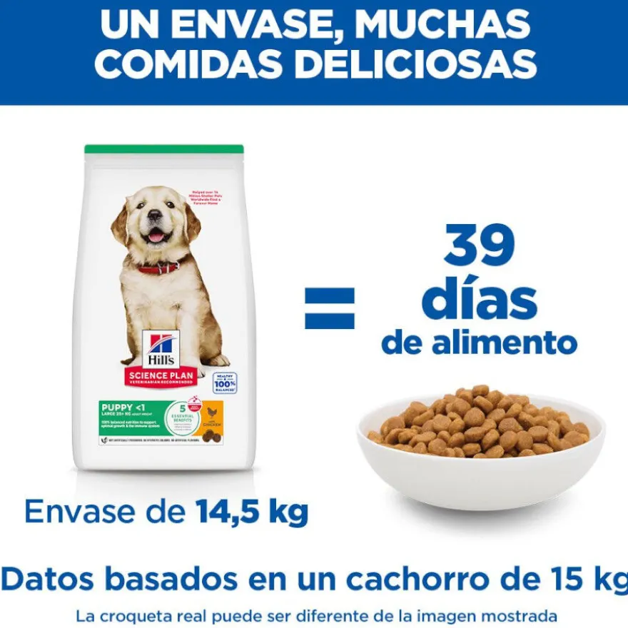 Hill's Science Plan pienso pollo para cachorros de razas grandes