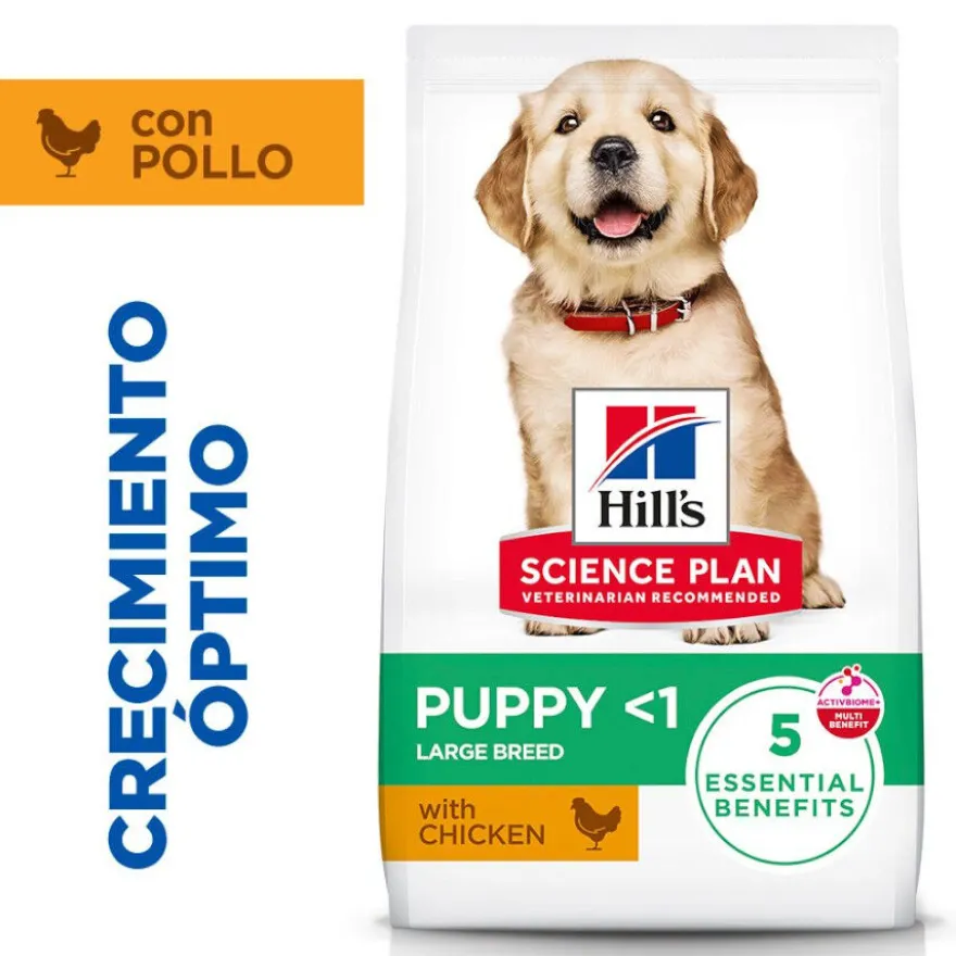 Hill's Science Plan pienso pollo para cachorros de razas grandes
