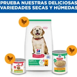 Hill's Science Plan pienso pollo para cachorros de razas grandes