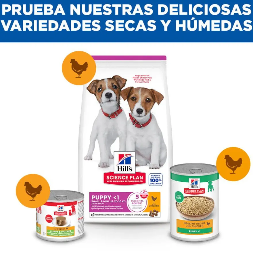 Hill's Science Plan pienso pollo para cachorros de razas mini