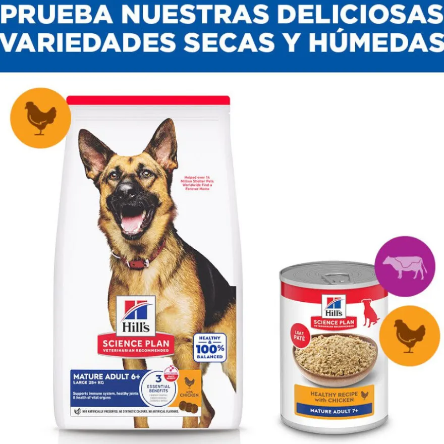 Hill's Science Plan pienso pollo para perros mayores de razas grandes