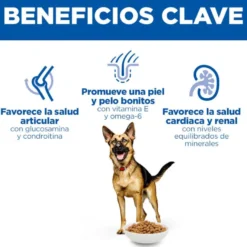 Hill's Science Plan pienso pollo para perros mayores de razas grandes
