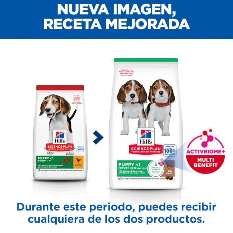Hill's Science Plan Puppy Medium Cordero y arroz Pienso para perros