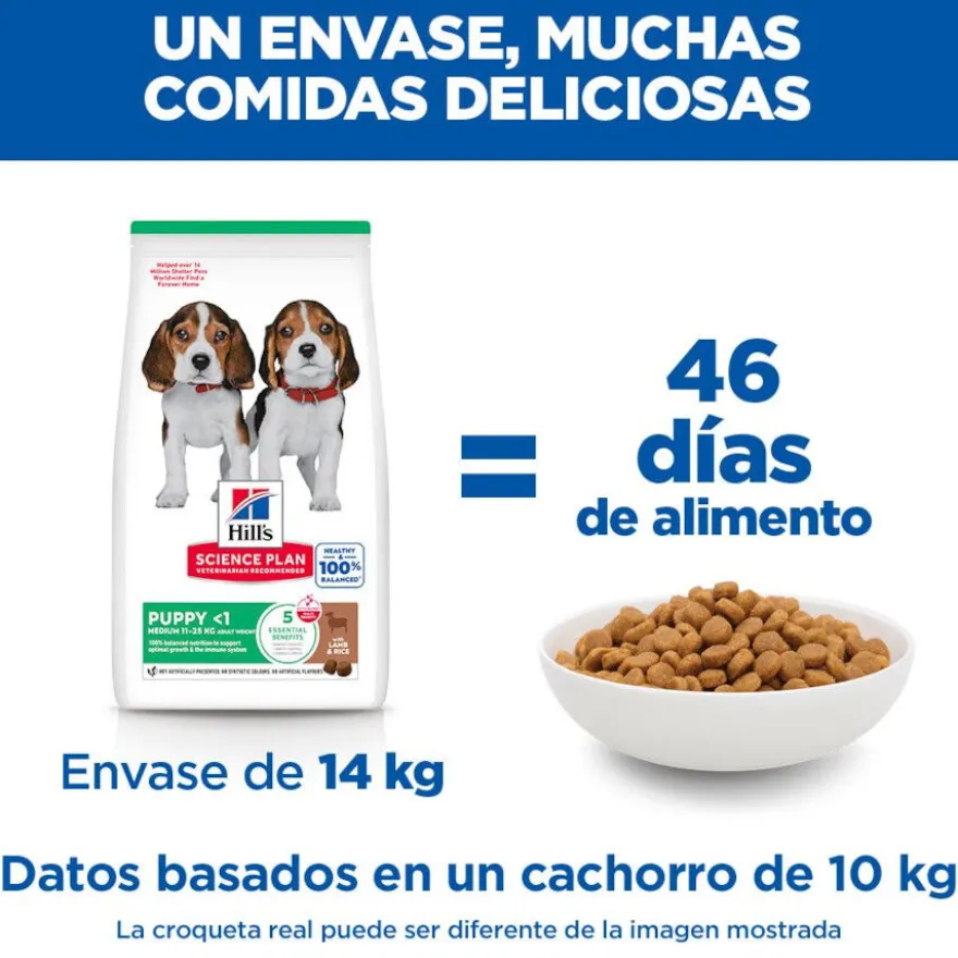 Hill's Science Plan Puppy Medium Cordero y arroz Pienso para perros