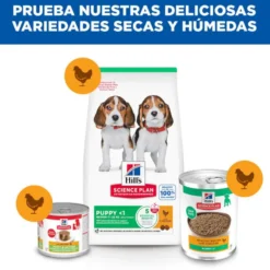 Hill's Science Plan Puppy pollo lata para perros