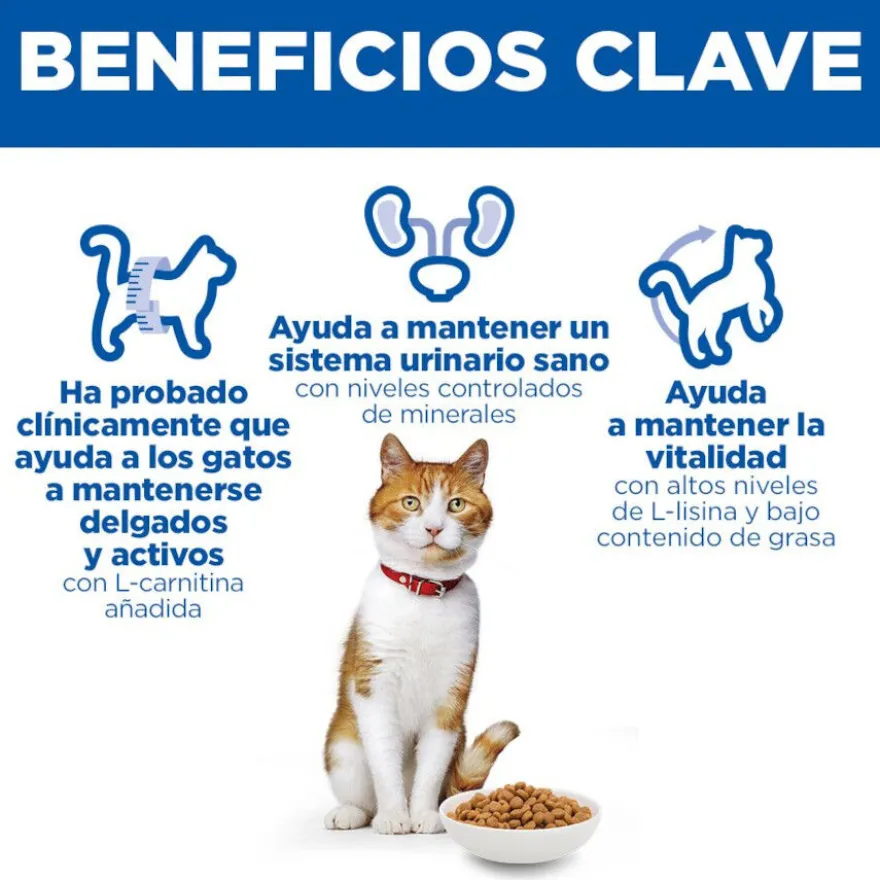 Hill's Science Plan Sterilised pienso salmón para gatos esterilizados
