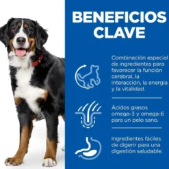 Hill's Science Plan Youthful vitality Large pienso para perros