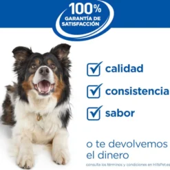Hill's Science Plan Youthful Vitality Adult +7 Small y Mini Pollo pienso para perros