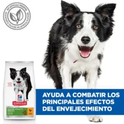 Hill's Science Plan Youthful Vitality Medium Adult Pollo pienso para perros