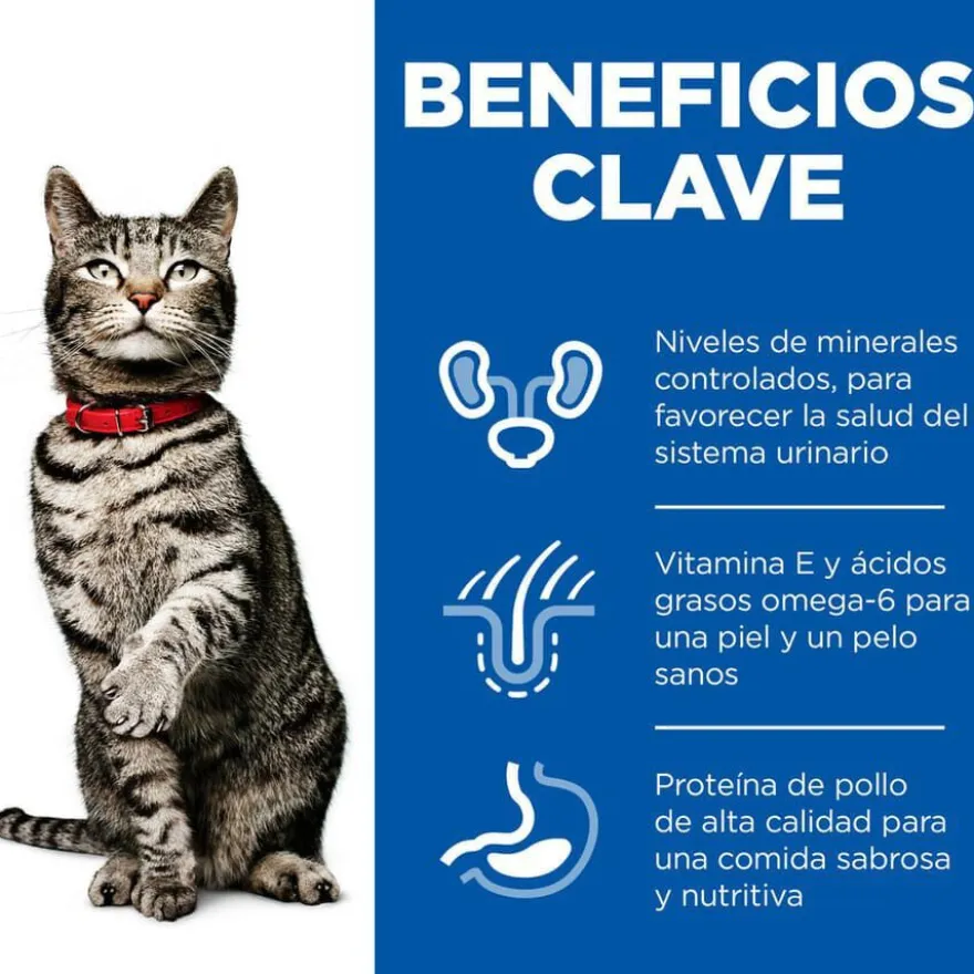 Hill's Urinary Pollo pienso para gatos