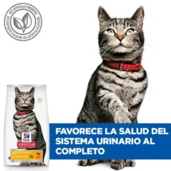 Hill's Urinary Pollo pienso para gatos