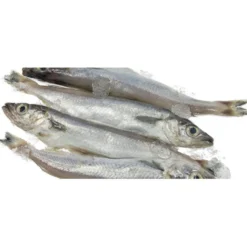 Hobbitalf La Pescadería Lirios para perros
