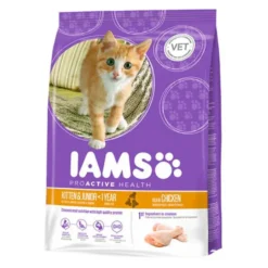 IAMS Kitten&Junior Pollo pienso para gatos