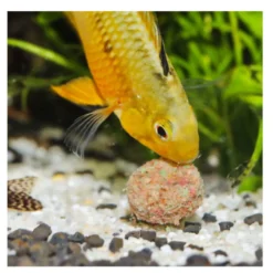 JBL Novotab Pastillas para peces
